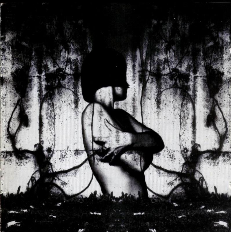 Beyond Dawn - Pity Love