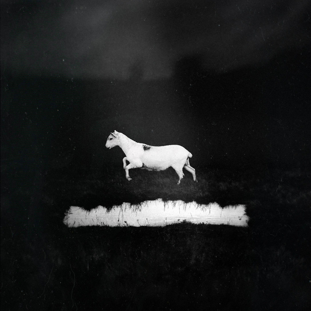 Les Discrets - Pr�dateurs