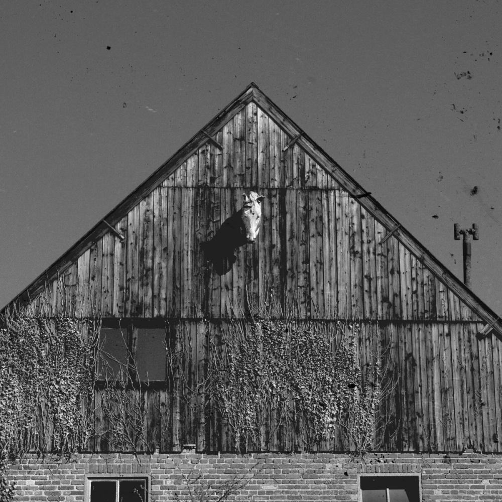 Fluisteraars - Relaas