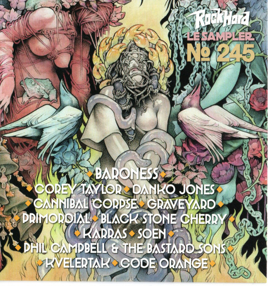 Various - RockHard Magazine (FR) - RockHard N�245