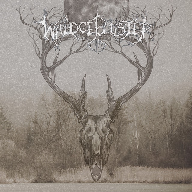 Waldgefl&uuml;ster - Rotgoldene Novemberw�lder (digital)