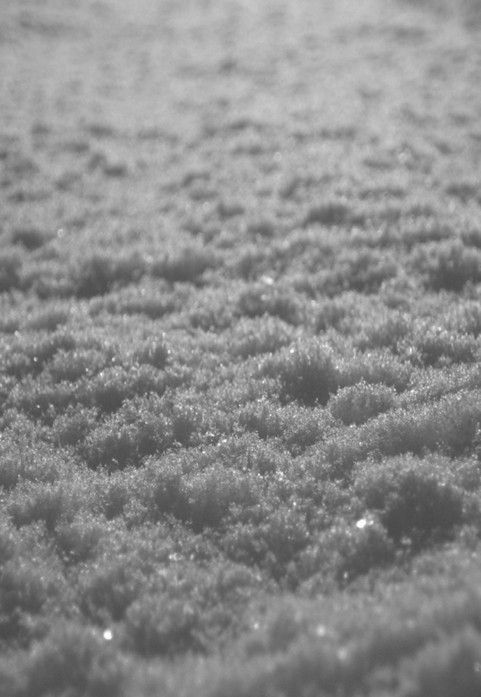 Paysage d'Hiver - Schnee