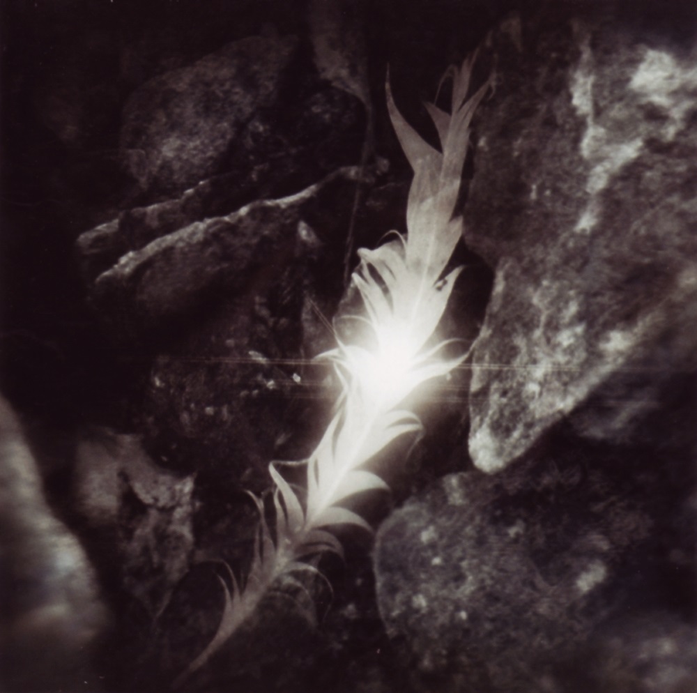 Rapture - Silent Stage