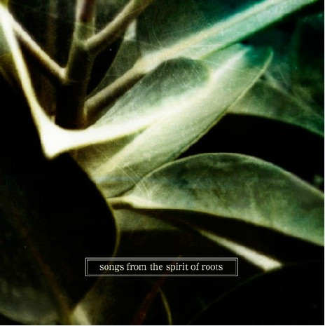 Various S - Songs From The Spirit Of Roots