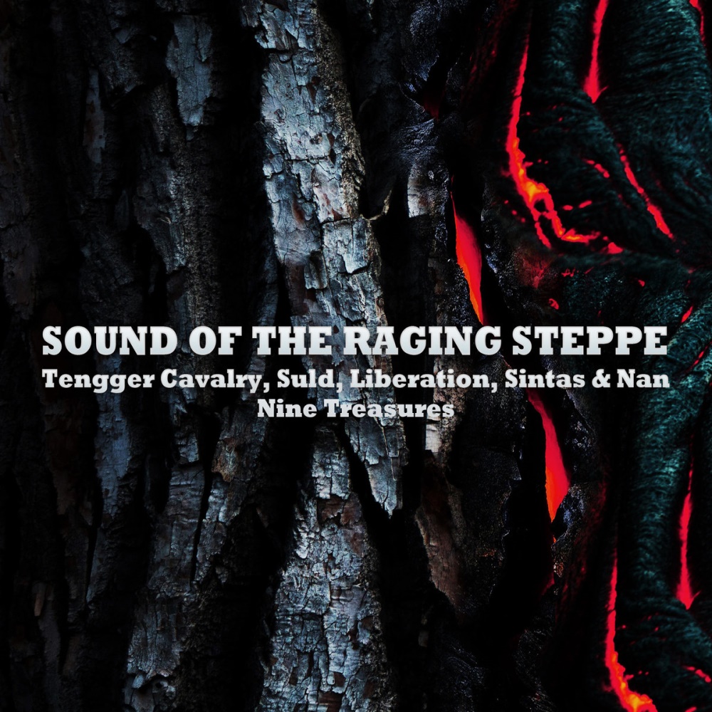 Various S - Sound of the Raging Steppe