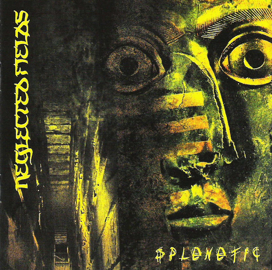 Neglected Fields - Splenetic