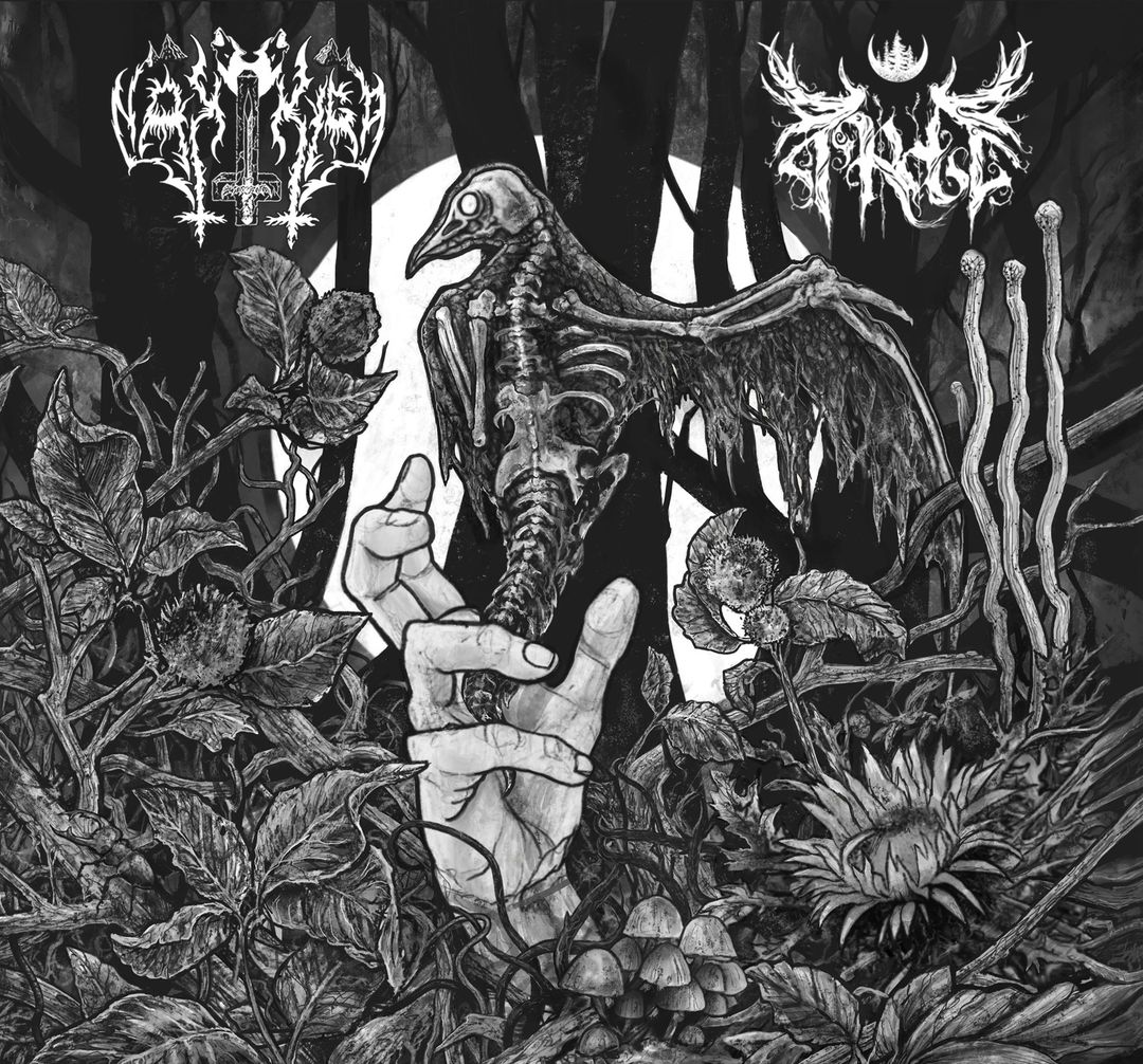 Arde - Split with Nakkiga