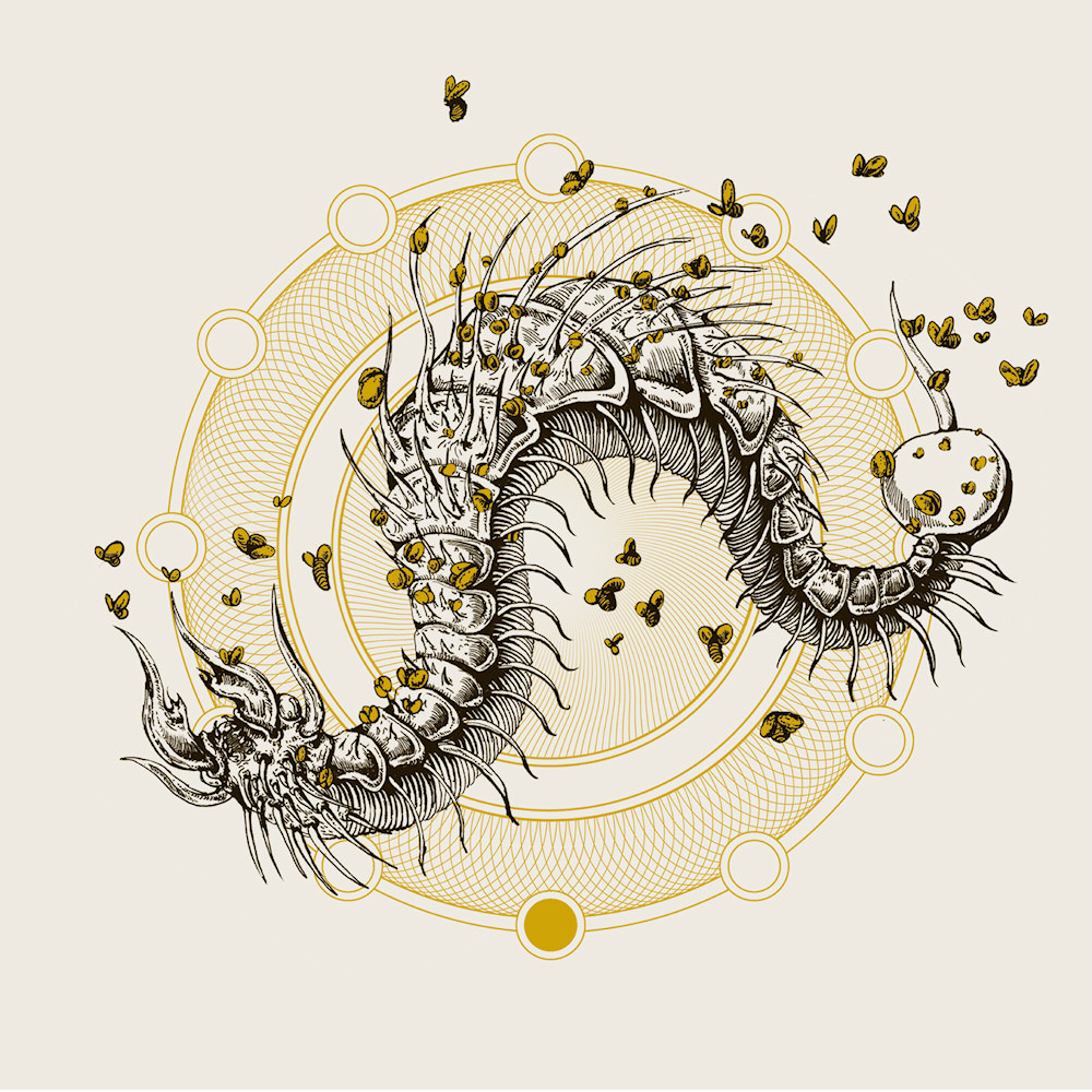 Coffinworm - Split with Fistula