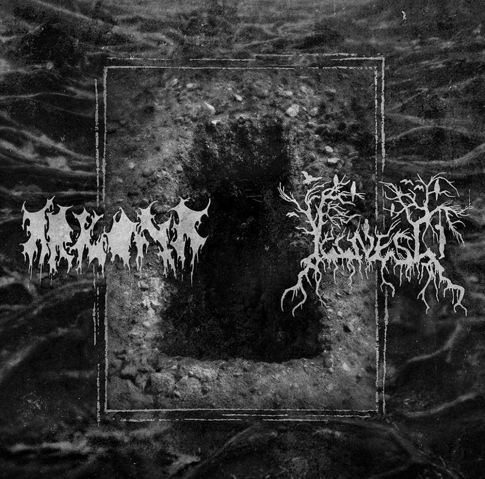 Arkona (POL) - Split with Illness (ep)