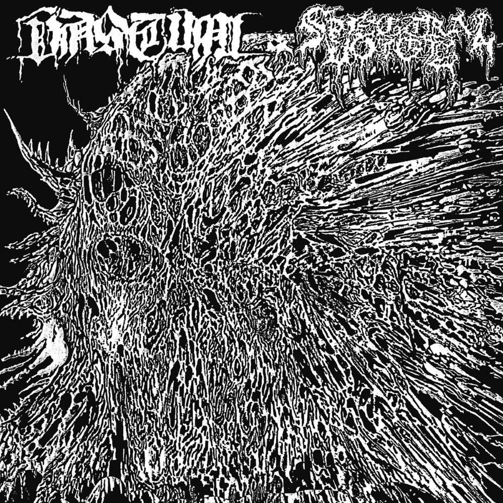 Spectral Voice - Split with Vastum (ep)