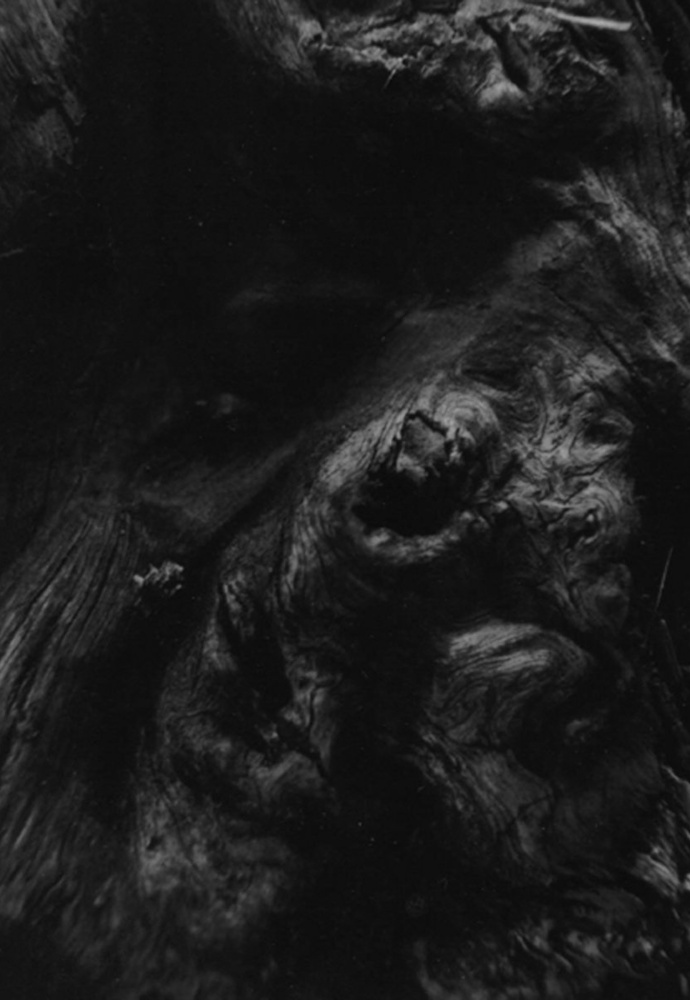 Paysage d'Hiver - Steineiche (demo)