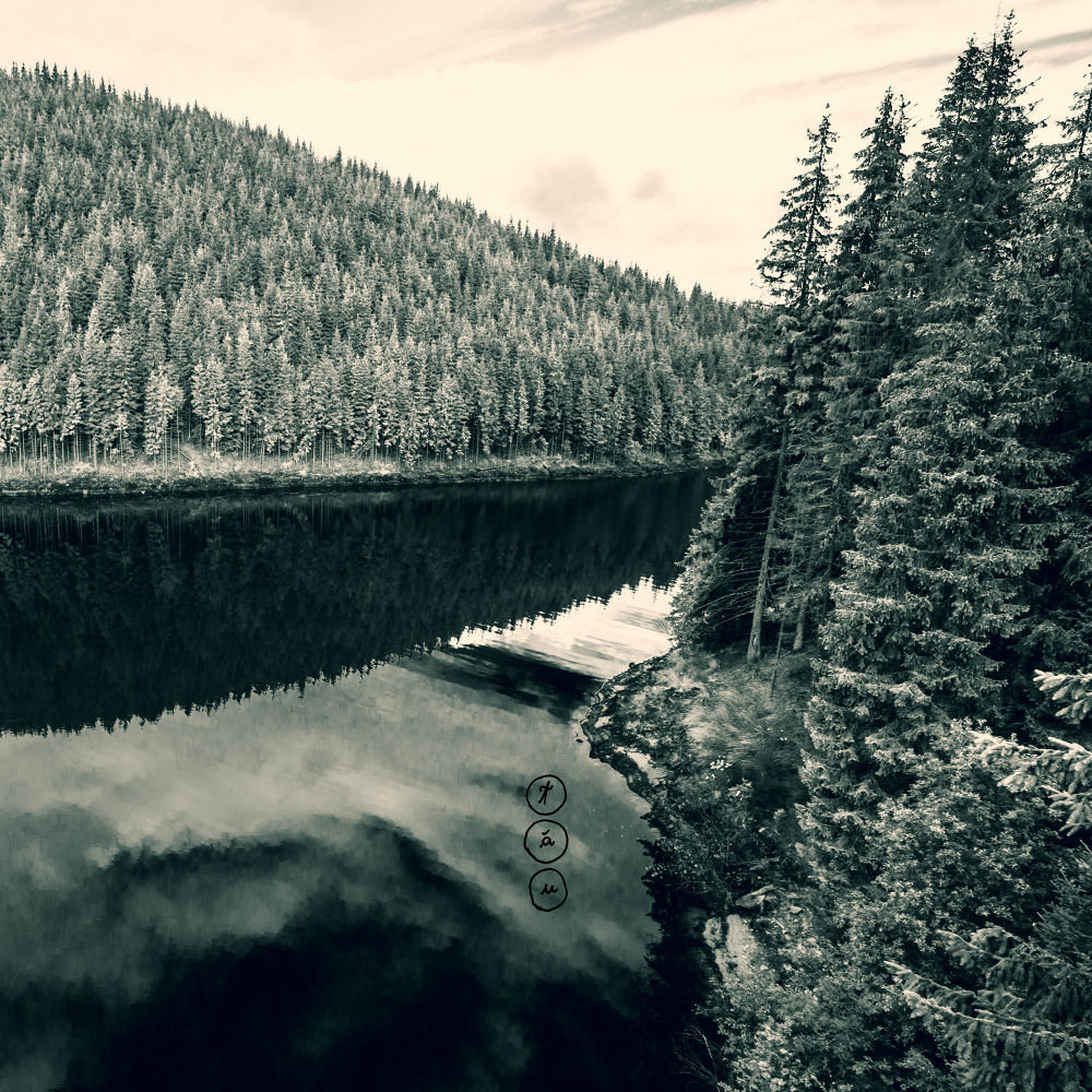 Negur&abreve; Bunget - T&abreve;u