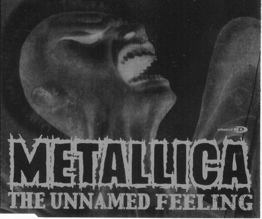 Metallica - The Unnamed Feeling