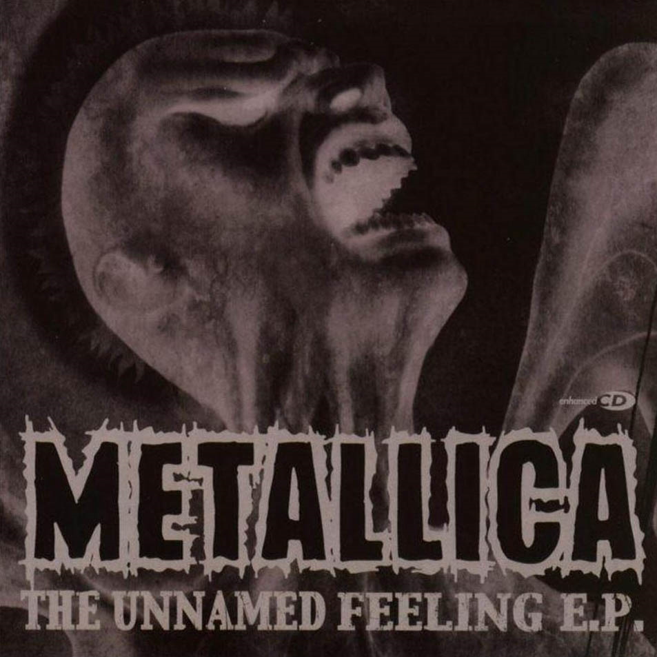 Metallica - The Unnamed Feeling