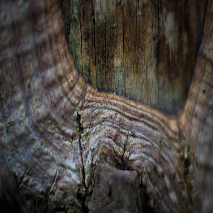 Coldworld - Vellos Camios (digital)