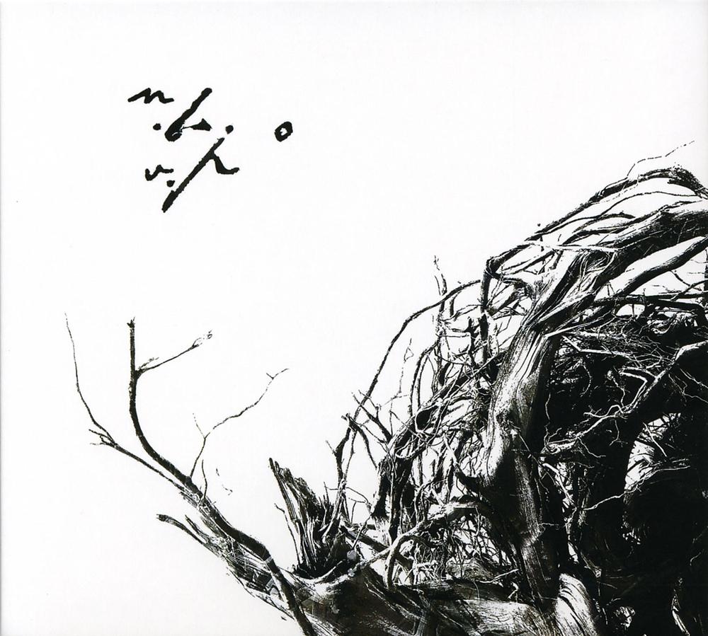 Negur&abreve; Bunget - V&icirc;rstele P&abreve;m&icirc;ntului