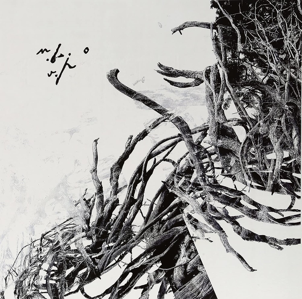 Negur&abreve; Bunget - V&icirc;rstele P&abreve;m&icirc;ntului