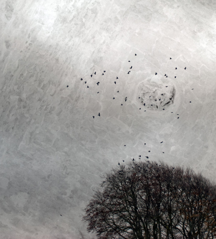 Pantheist - Warping Space Time (digital)