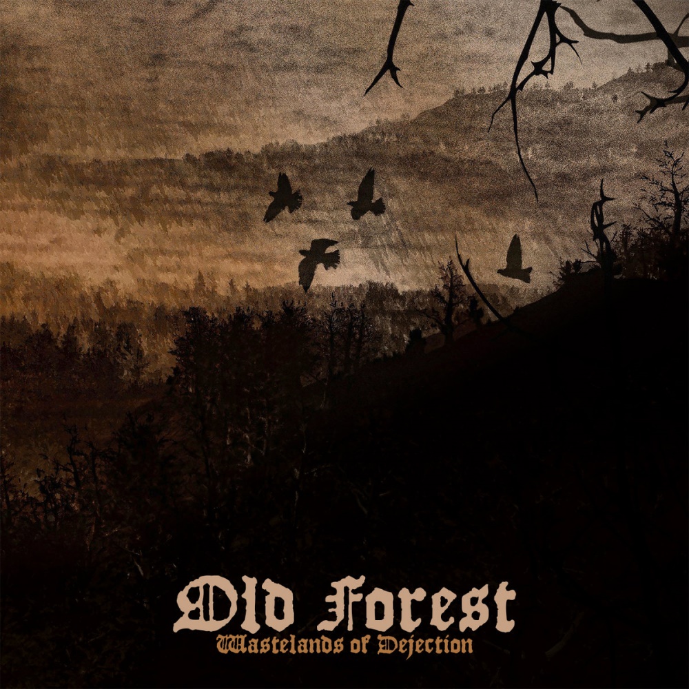 Old Forest - Wastelands of Dejection (digital)