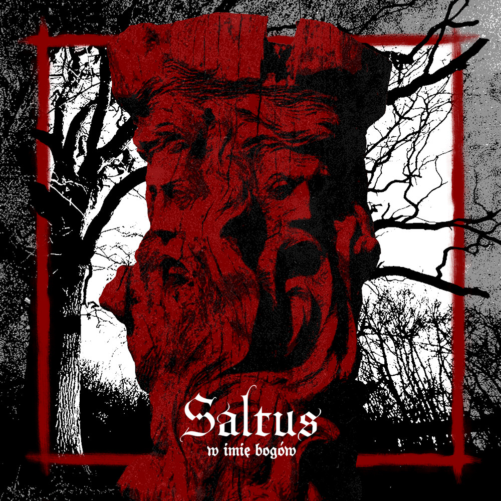Saltus - W Imi&eogon; Bog&oacute;w