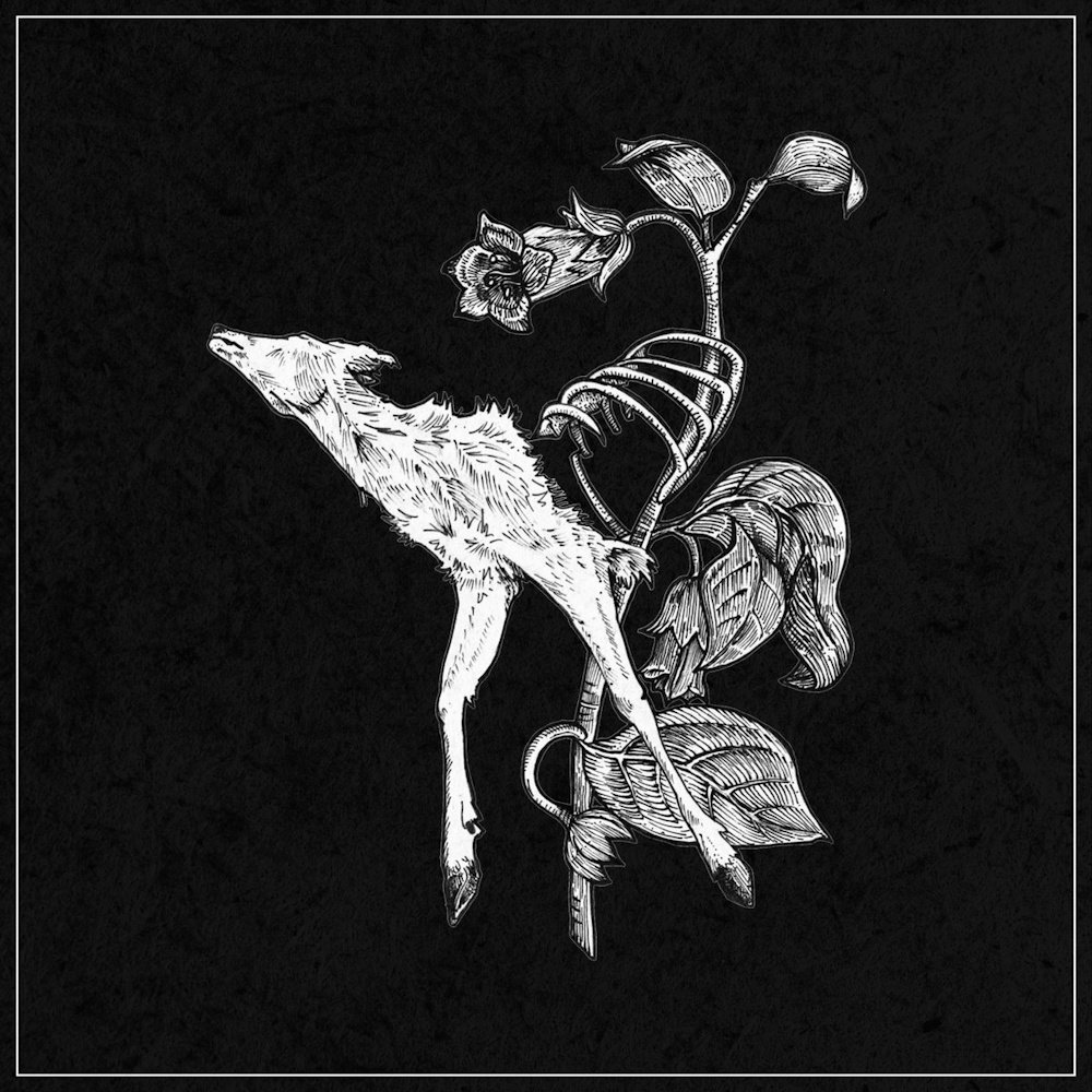 Suicide Forest - World Of Decay