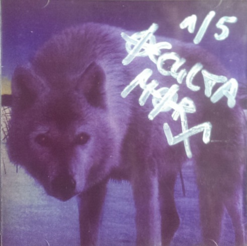 Nachtfalke - Zeit der W�lfe, des Kampfes und des Blutes