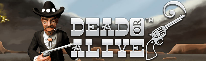 Avis Jeu Dead or Alive en français
