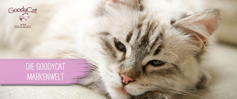 GoodyCat Markenwelt