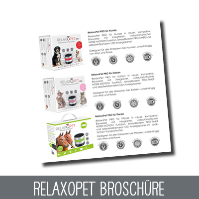 Broschüre