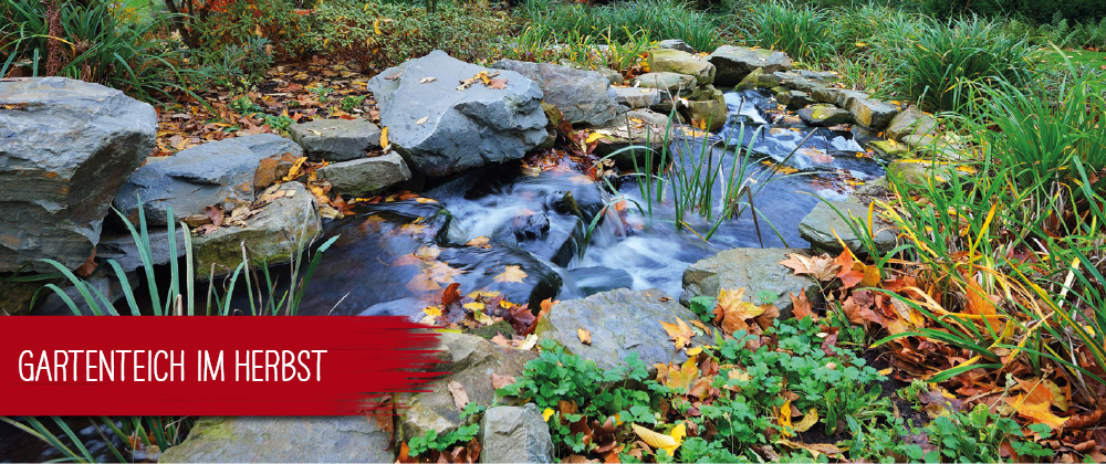 Gartenteich im Herbst
