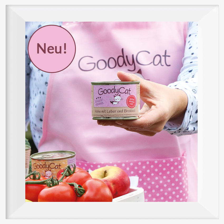 Neu - GoodyCat