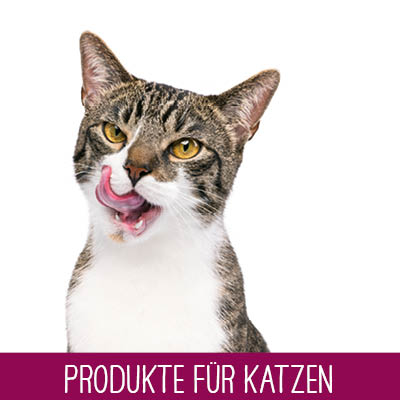 Dokas Produkte für Katzen
