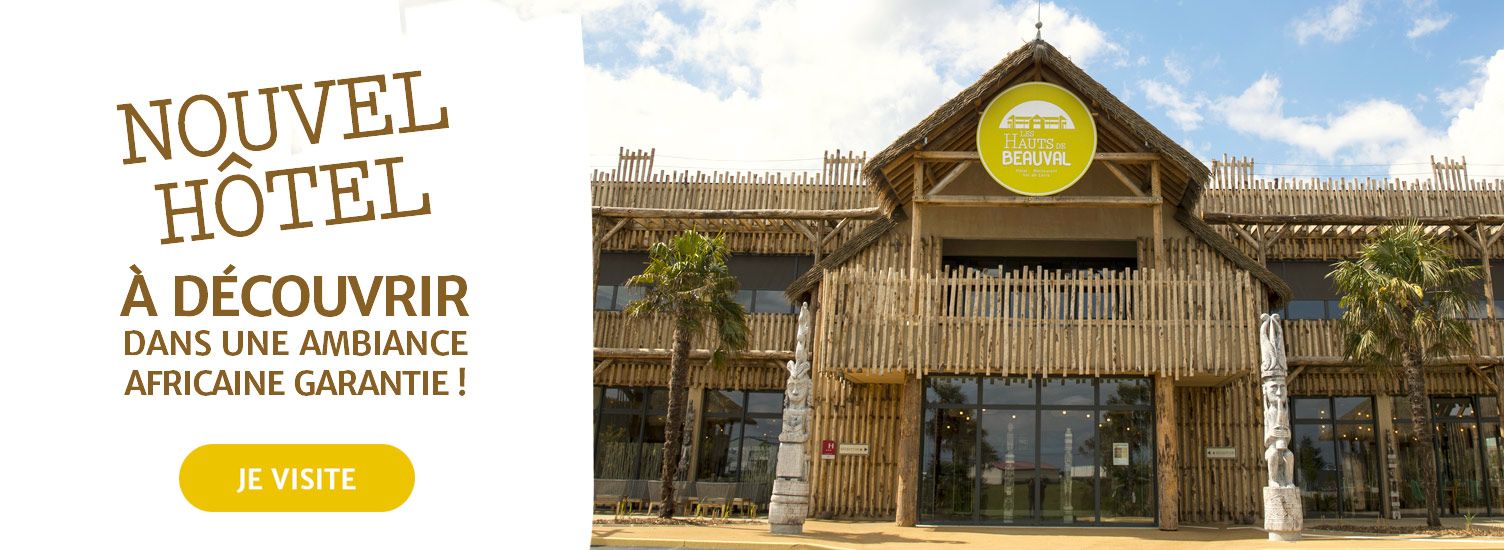 Hotel Ibis Pres Du Zoo De Beauval