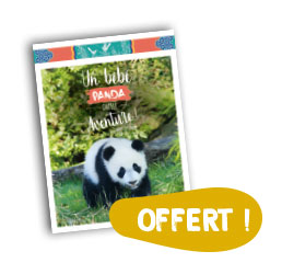 BD offerte